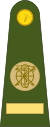 Ireland-Army-OR-8.svg