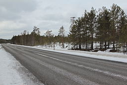 Del af Laplands naturreservat, langs amtsvej 233