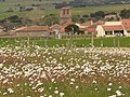 Vista desde el campo