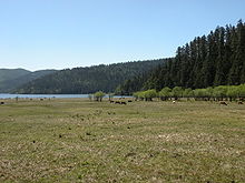 Meadow in Pudacuo.JPG