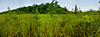 New Auburn Sedge Meadow Wisconsin State Natural Area panorama.jpg