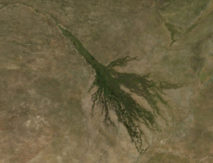 Okavango riska, tuwavaf debak