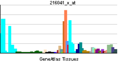 PBB GE GRN 216041 x at tn.png