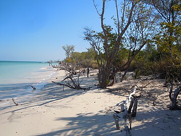 Partie Ouest de la plage de Cayo Jutías