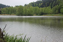 Pohled na vodní plochu. V pozadí se na břehu zelenají stromy a lesy