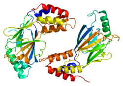 Белок IRF3 PDB 1j2f.png