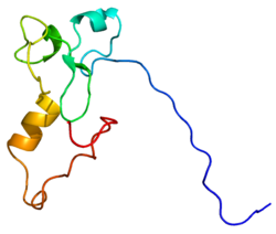 Белок KDM5D PDB 2E6R.png