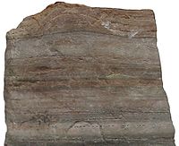 Chemical Free Makeup on Quartzite   A Form Of Metamorphic Rock  From The Museum Of Geology At