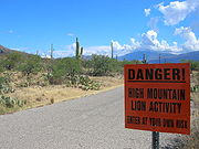 Panneau avertissant de la présence de puma dans le Parc national de Saguaro ( États-Unis)