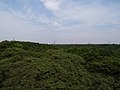 六道山公園の展望台から見た狭山丘陵（2007年6月）
