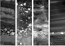 Sediment types from the Southern Ocean showing many different grain sizes: A) gravel and sand, B) gravel, C) bioturbated mud and sand, and D) laminated clays and silts. Sediment-images hg.jpg