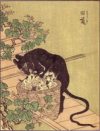 Das hochformatige Bild im japanischen Stil zeigt eine menschengroße schwarze Ratte, die über einem mit Kätzchen gefüllten großen Korb gebeugt steht und eines der Kätzchen im Maul hält. Der Korb steht auf einer schmalen hölzernen Plattform am Fuß einer Treppe. Am Geländer wachsen Rankpflanzen. Der Hintergrund ist leer und oben rechts steht klein in japanischer Schrift Kyuuso.