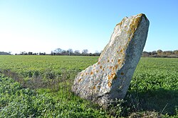 Image illustrative de l’article Menhir de la Grande Bernerie