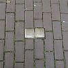 Stolpersteine Stadthagen Niedernstraße 31