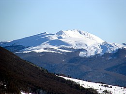 Tarnica iš vakarų