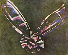 Farbfotografie einer verschwommenen Figur mit einer runden Form und zwei Flügeln, die nach oben gehen. Die Farben Weiß, Violett und Dunkelblau heben sich vom schwarzen Untergrund ab.