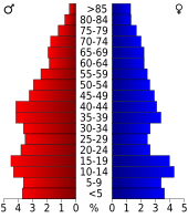 Bevolkingspiramide Terry County