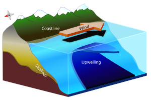 If the wind blows parallel to the coast in the southern hemisphere (such as along the coast of Peru, where the wind blows North), Ekman transport can produce a net movement of surface water 90° to the left, which may result in coastal upwelling.[1]