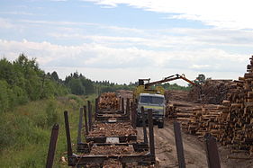 Holzverladung