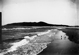 View of Bilinga Beach, Gold Coast, circa 1900.JPG