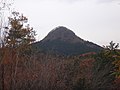 見晴らし道から見た太白山