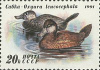 Почтовая марка СССР, 1991 год
