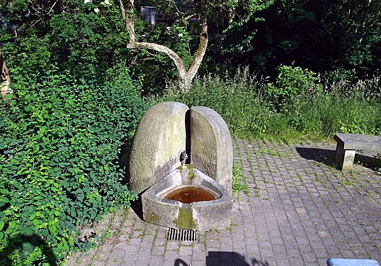 Heiligenbornweg am Koitzschgraben: Heiliger Born. Der Heilige Born hat zwei Brunnenausläufe. Der 2. Brunnenauslauf (GMP: 51.010246,13.762032 ), hier im Bild, befindet sich in der Nähe der Brunnenstraße. Diesen faßte man 1963 in Sandstein. 1992 wurde die Anlage umgestaltet. Zwischen zwei Sandsteinen sprudelt das Quellwasser aus einem als Fisch gestalteten Wasserpeier aus Bronze (der hier offensichtlich fehlt) in die Brunnenschale. Die Plastik wurde von Petra Graupner geschaffen. Eine halbkreisförmige Bank faßt sie ein und bildet einen schönen Ruheplatz. Der Heilige Born gilt heute als einer der ältesten Brunnen Dresdens.