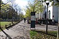 L'allée et sa double rangée d'arbres, vue vers le sud, devant le musée, en 2015.