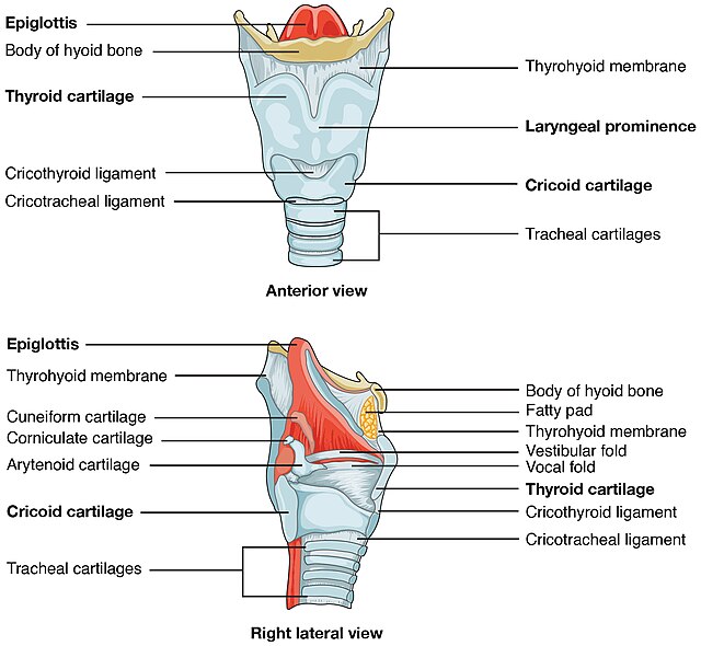 Thumb image