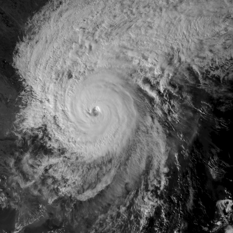 Typhoon Vamco making landfall