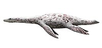 Bishanopliosaurus