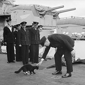 Atlantic Conference August 1941: Churchill restrains 'Blackie' the cat, the mascot of HMS Prince of Wales, from joining USS McDougal, an American destroyer, while the ship's company stand to attention during the playing of the National Anthem