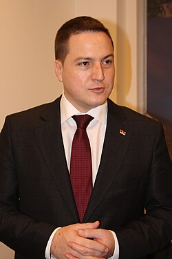 Branko Ružić (političar)