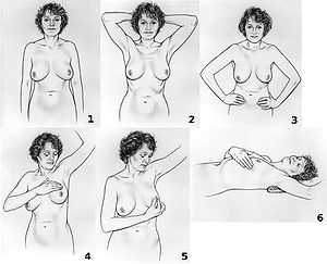A series of six illustrations showing how to d...