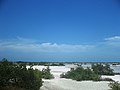 Chicxulub Puerto, Yucatán.