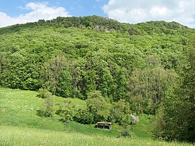 Der Bereich des Weißen Grabens oberhalb des Mühlbachtals