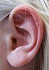 Human ear