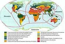 Map of the Earth with ecozones and biomes labeled