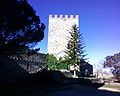 Torre Pisana (Quartiere Lombardia)