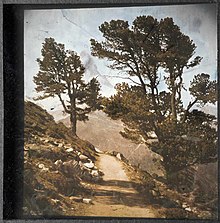 One of Gabriel Lippmann's colour photographs, "Le Cervin", 1899, made using a monochrome photographic process (a single emulsion). The colours are structural, created by interference with light reflected from the back of the glass plate. Gabriel Lippmann Le Cervin 1891-1899.jpg