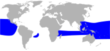 Great frigatebird (Fregata minor) distribution map HBW.svg