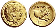 A gold half stater of Philip II of Macedon