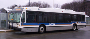 Buses are a common means of traveling by road.