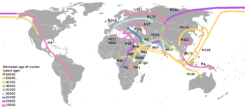 English: A schematic showing the spreading of ...