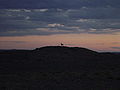 A Khulan (Mongolie Wild Ass) on a hill in the Gobi o the Ömnögovi, at sunset.