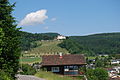 Schloss Wartefels