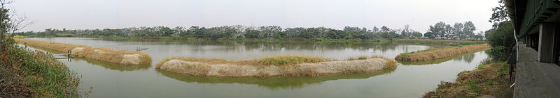 File:Mai Po Nature Reserve.jpg