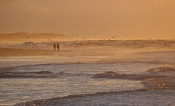 Entardecer em dezembro de 2013 na costa de Nørre Vorupør, Jutlândia do Norte, Dinamarca. (definição 5 124 × 3 128)