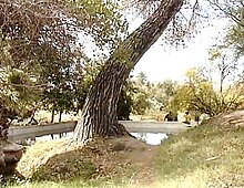 Ojo de agua fría en la Misión d san Borja de Ádac