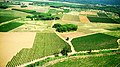 Vue aérienne du vignoble des Corbières